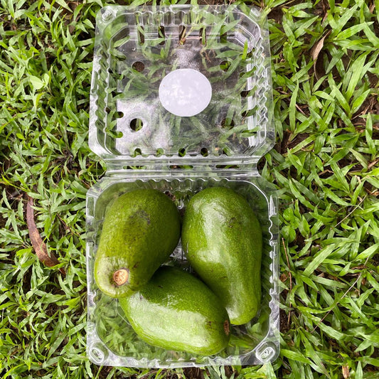 SUSCRIPCION GOLD Aguacate Mantequilla 3 unidades